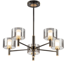 Потолочная люстра Elan CL241151
