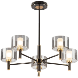 Потолочная люстра Elan CL241151