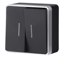 Выключатель Накладные механизмы Gallant черный с серебром W5020134