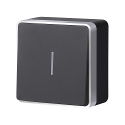 Выключатель Накладные механизмы Gallant черный с серебром W5010134