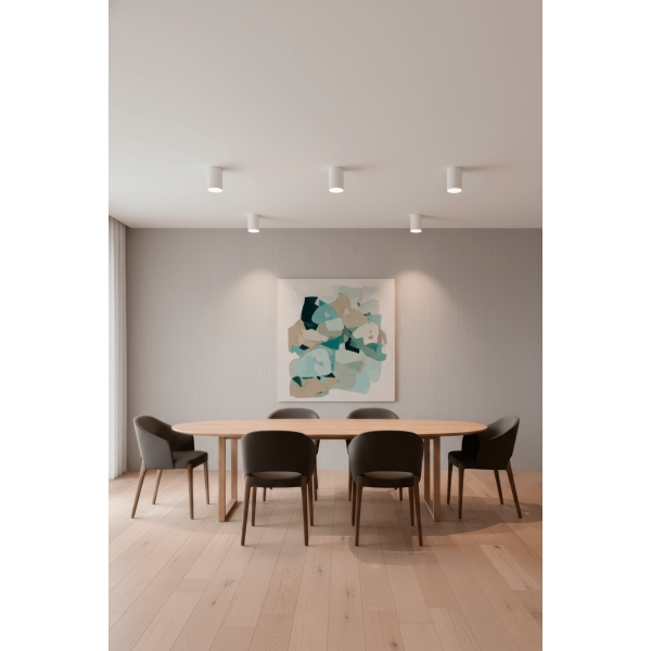 Светильник потолочный Crystal Lux CLT 084C WH