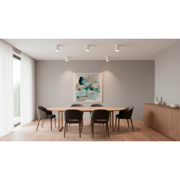 Светильник потолочный Crystal Lux CLT 084C WH