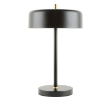 Настольная лампа Arte Lamp Skat A7052LT-2BK