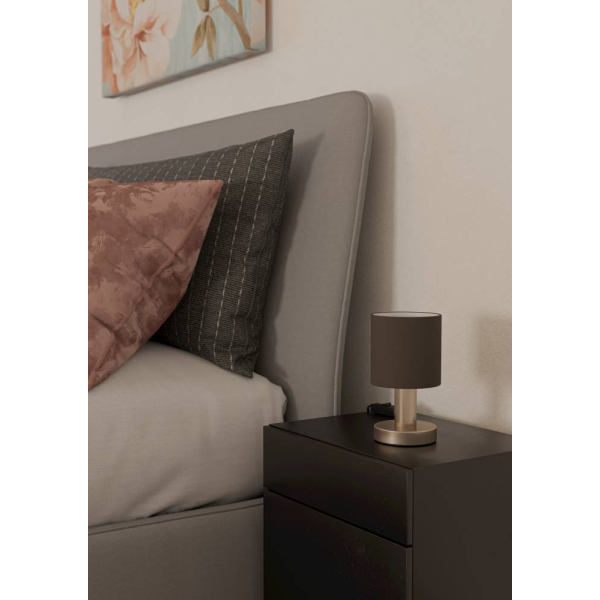 Настольная лампа Eglo Montetto 31842