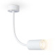 Бра Ambrella light Wallers FW2469