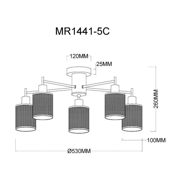 Потолочная люстра MyFar Solo MR1441-5C Потолочная люстра MyFar Solo MR1441-5C