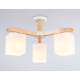 Потолочная люстра Ambrella light Traditional Loft TR83115