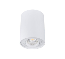 Точечный светильник Kanlux BORD DLP-50-W 22551