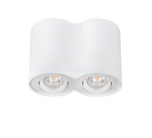 Точечный светильник Kanlux BORD DLP-250-W 22554