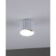 Настенно-потолочный светильник Moderli Cora V11892-1C