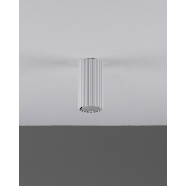 Настенно-потолочный светильник Moderli Cora V11888-1C