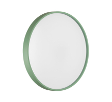 Настенно-потолочный светильник Sonex COLOR 7743/ELN