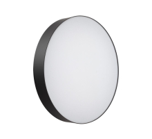 Настенно-потолочный светильник Sonex BASICA 7780/ELN