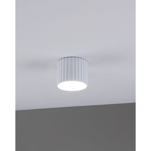 Настенно-потолочный светильник Moderli Cora V11892-1C