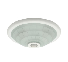 Настенный потолочный светильник Kanlux FOGLER DL-240O 18120