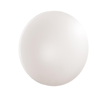 Настенно-потолочный светильник Sonex PALE 3017/CLN