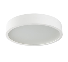 Настенный потолочный светильник Kanlux JASMIN 470-W/M 23128