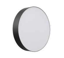 Настенно-потолочный светильник Sonex BASICA 7780/DLN