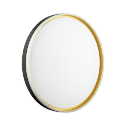 Настенно-потолочный светильник Sonex SAVI 7619/ELN