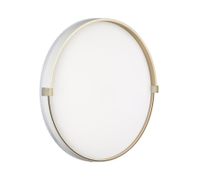 Настенно-потолочный светильник Sonex OLIDI WHITE 7646/DLN