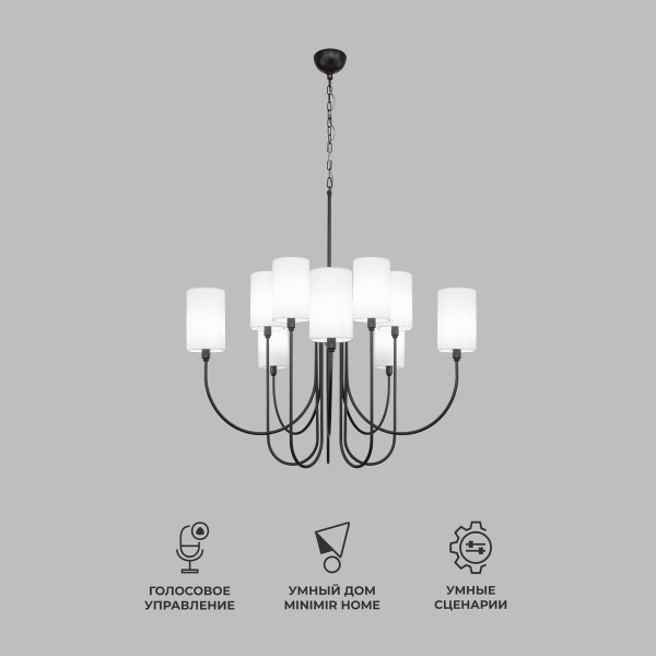 Подвесная люстра Eurosvet Abbey 60164/10 черный Smart