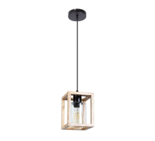 Подвесной светильник Arte Lamp Dublin A7025SP-1BK