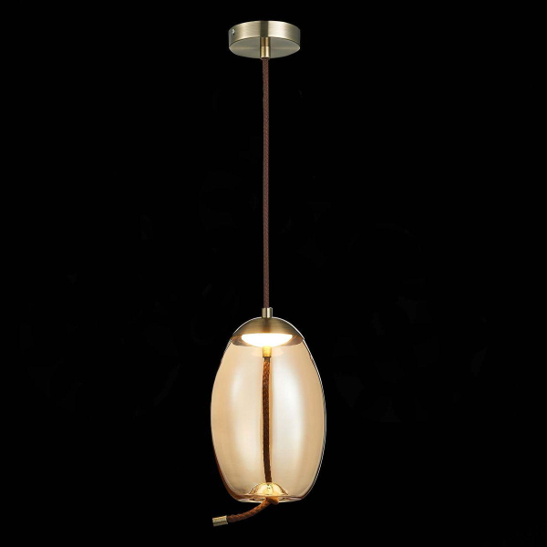 Подвесной светодиодный светильник ST Luce Ozzio SL6108.333.01