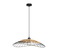 Подвесной светильник Arte Lamp WOODSTOCK A7061SP-1BK