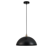 Подвесной светильник Arte Lamp CAPPELLO A7056SP-1BK