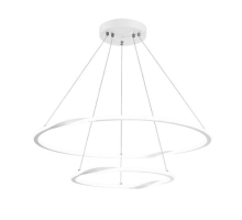 Подвесной светодиодный светильник Arte Lamp Veritate A2211SP-2WH