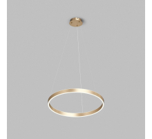 Подвесной светодиодный светильник Denkirs Raydia DK6273-SG