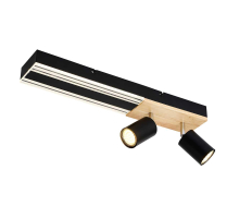 Потолочный светильник F-Promo Olika 4437-2C