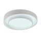 Потолочный светодиодный светильник MyFar Ceiling Rhea MR9160-CL