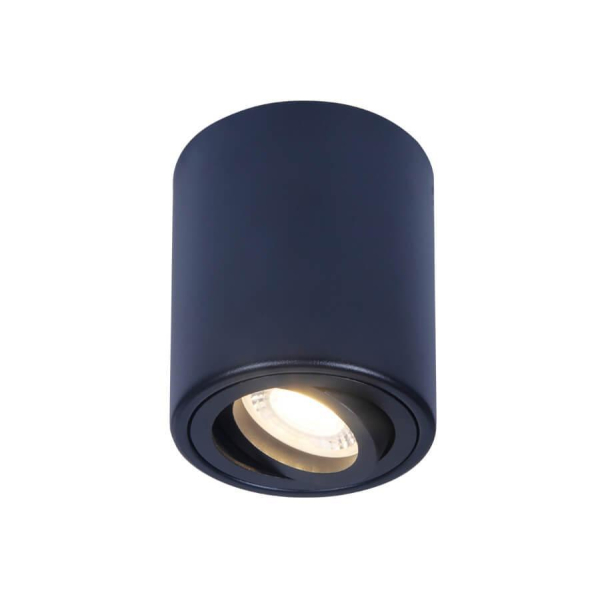 Потолочный светильник Ambrella light Techno Spot TN226 Потолочный светильник Ambrella light Techno Spot TN226