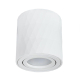 Потолочный светильник Arte Lamp Fang A5559PL-1WH