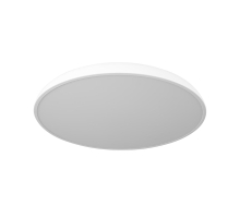 Потолочный светильник LOFT IT Dime 10371 White