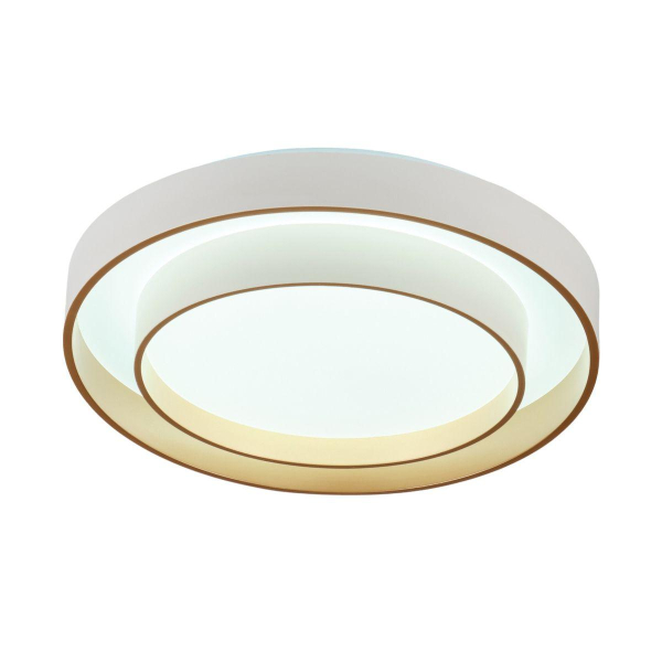 Потолочный светодиодный светильник MyFar Ceiling Rhea MR9161-CL