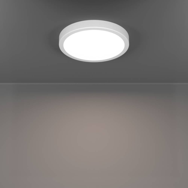 Настенно-потолочный светильник Eglo Fueva 6 901333