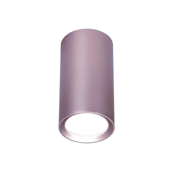 Потолочный светильник Ambrella light Techno Spot TN220 Потолочный светильник Ambrella light Techno Spot TN220