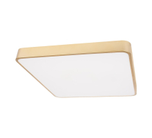 Потолочный светодиодный светильник Loft IT Flims 10228/D