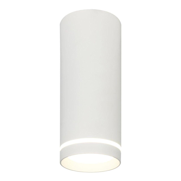 Потолочный светодиодный светильник Escada 20009SMU/02LED SWH Потолочный светодиодный светильник Escada 20009SMU/02LED SWH