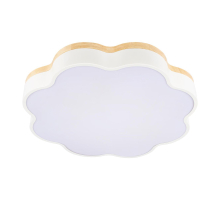 Потолочный светодиодный светильник Loft IT Axel 10225/36 White