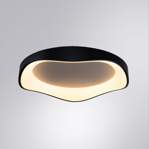 Потолочный светодиодный светильник Arte Lamp Ankaa A3085PL-56BK