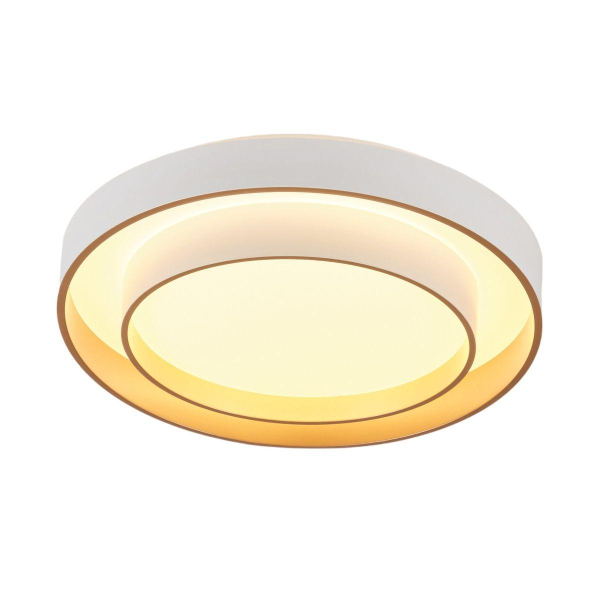 Потолочный светодиодный светильник MyFar Ceiling Rhea MR9161-CL