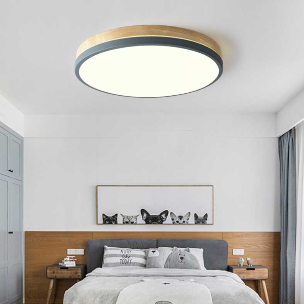 Потолочный светильник Imperium Loft DISC-DH01 189905-26 Потолочный светильник Imperium Loft DISC-DH01 189905-26