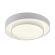 Потолочный светодиодный светильник MyFar Ceiling Rhea MR9160-CL