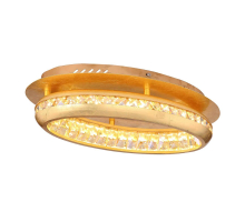 Потолочный светодиодный светильник Globo Hommi 67096-18G