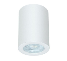 Потолочный светильник Arte Lamp Tino A1468PL-1WH