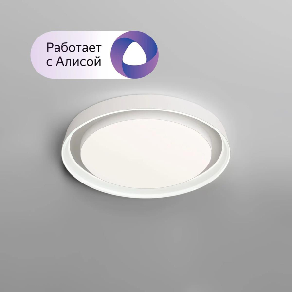 Потолочный светодиодный светильник Denkirs DK6516-WH/1 Потолочный светодиодный светильник Denkirs DK6516-WH/1