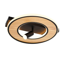 Потолочный светильник F-Promo Olika 4438-2C